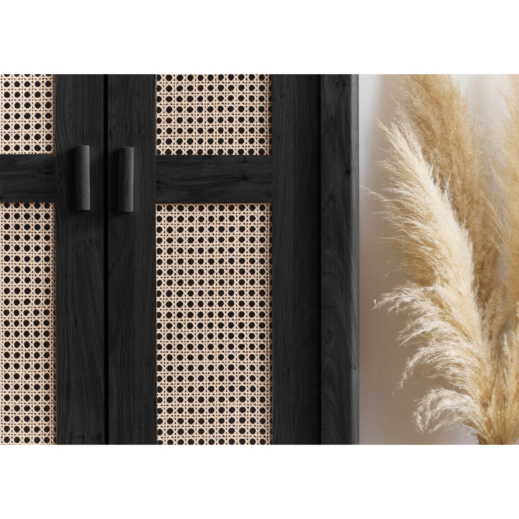 Sydney 2 Door Wardrobe - Black Ash