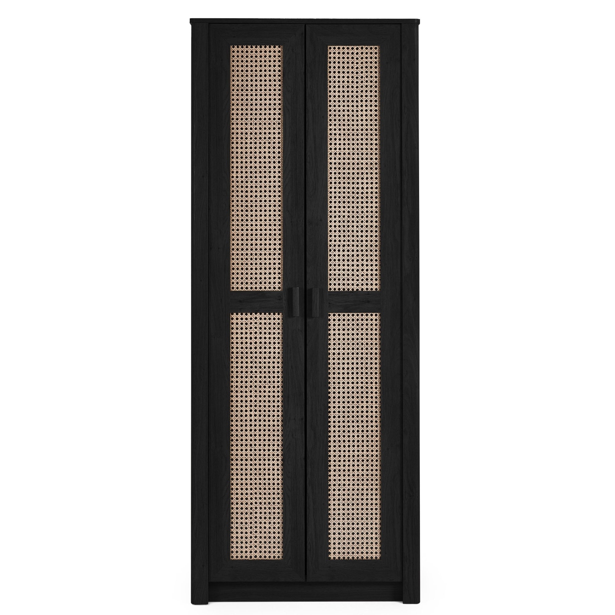 Sydney 2 Door Wardrobe - Black Ash