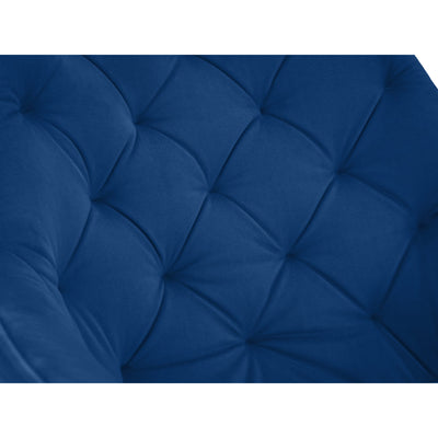 Set Of 2 Lorenzo Dining Chairs - Blue - Cozyo